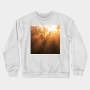 Atmosphere Crewneck Sweatshirt